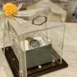 Trousseau Wrapping - Bridal Dress Wrapping - Groom Packing - Bari Packing